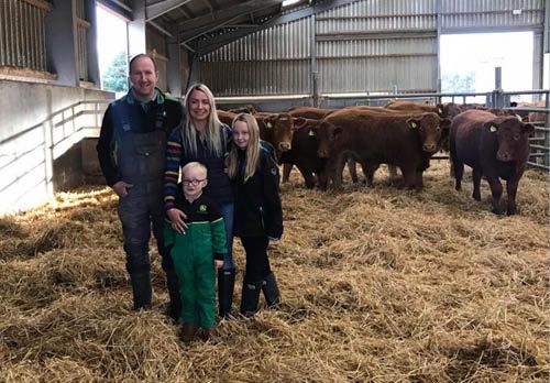 Quality store cattle from Aucterblair Carrbridge